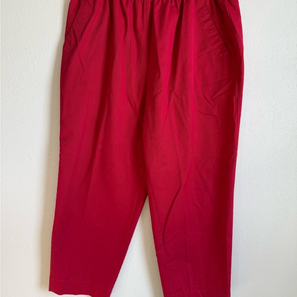 Men’s 22x36 Red Levi’s Sportswear, Lightweight, Athletic, Activewear Pants